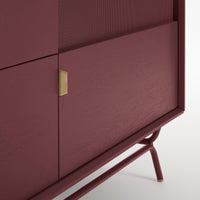 Dang 2 Door / 2 Drawer Console in Oxblood - Angle 11
