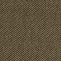 Camp Olive - Angle 1