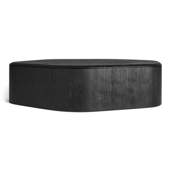 Hoard Coffee Table in Black-Stained Acacia - Angle 1