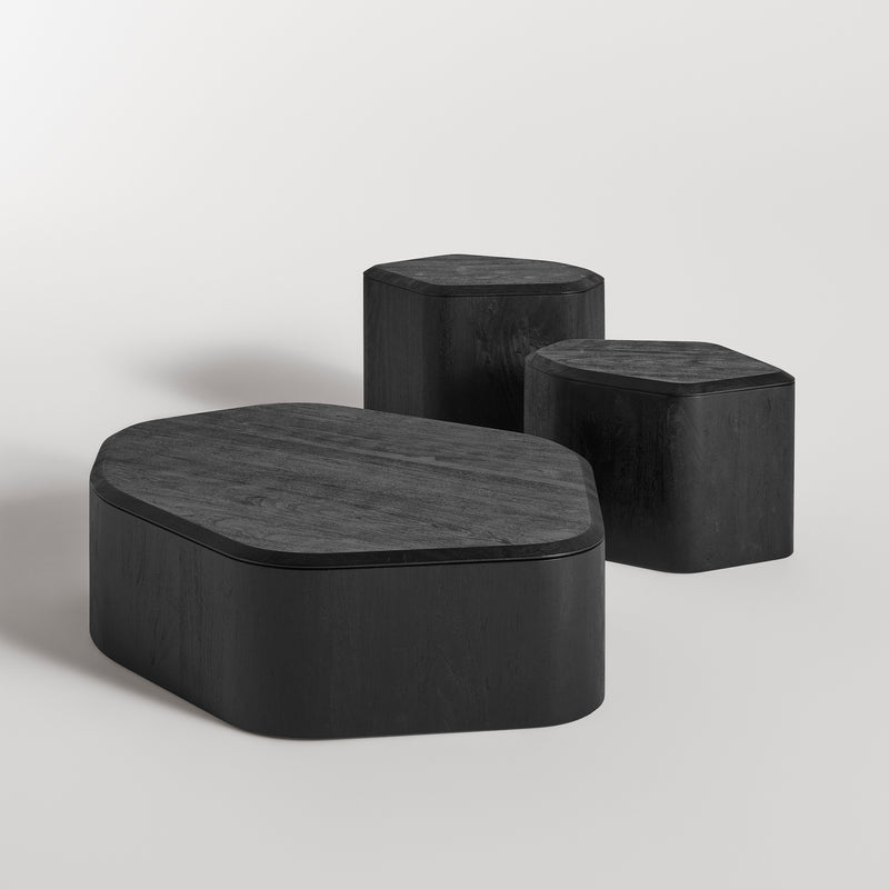 Hoard Coffee Table in Black-Stained Acacia - Angle 2