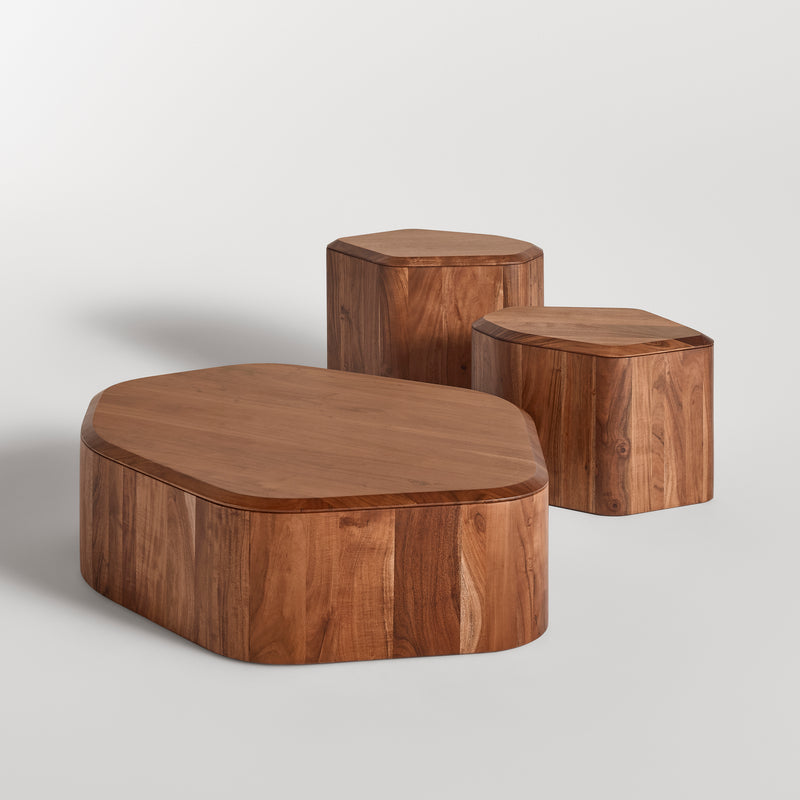 Hoard Coffee Table in Acacia