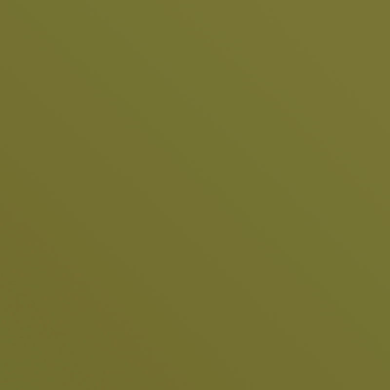 Avocado - Angle 1