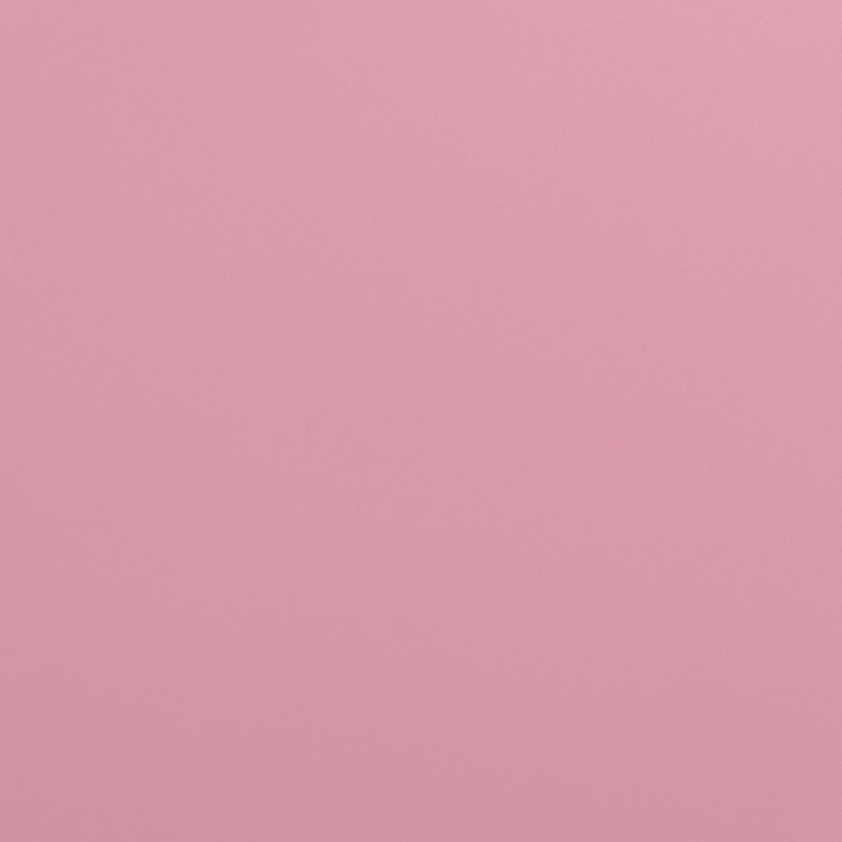 Solid light pink color swatch