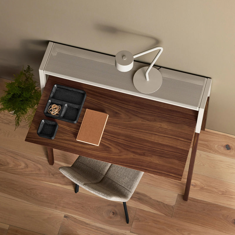 Square One Organizer Tray in Black-Stained Acacia