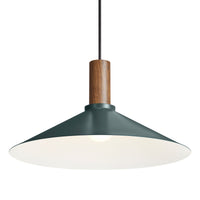 Emblem Large Pendant Light in Navy Green / Walnut - Angle 4