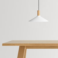 Emblem Large Pendant Light in White / White Oak - Angle 9