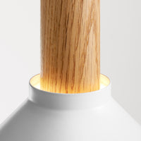 Emblem Large Pendant Light in White / White Oak - Angle 7