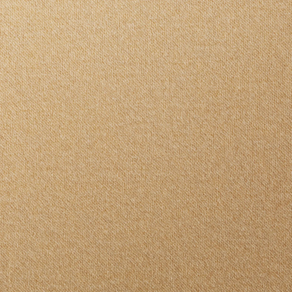 Camel Velvet swatch