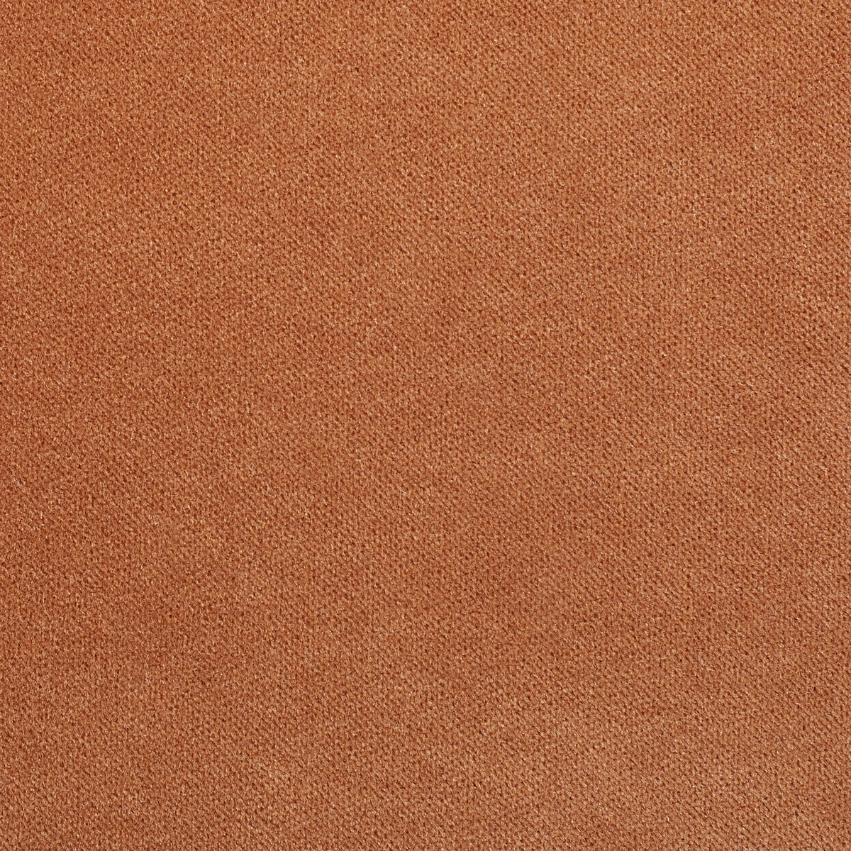 Copper Velvet swatch