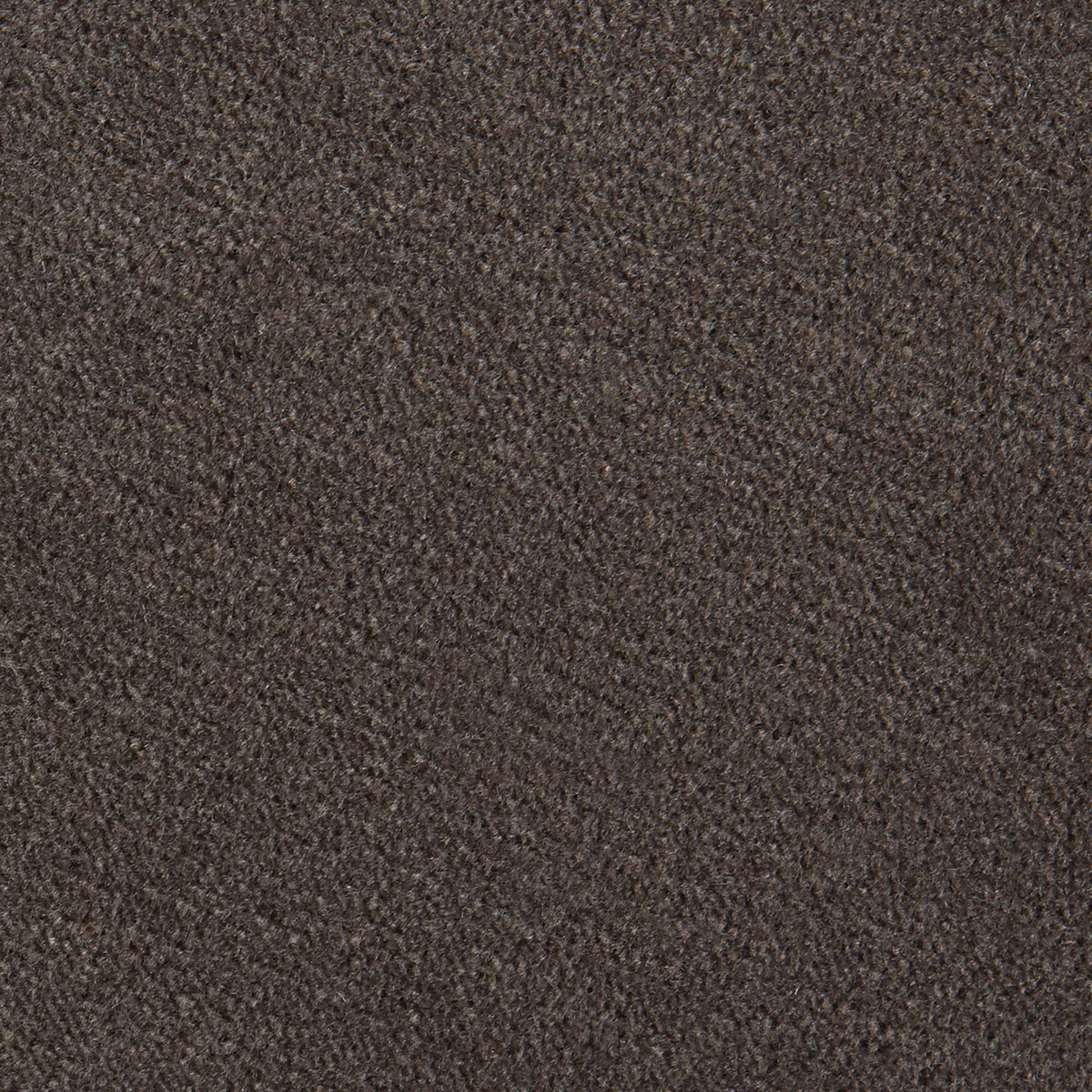Close-up view of a brown mink velvet fabric texture.