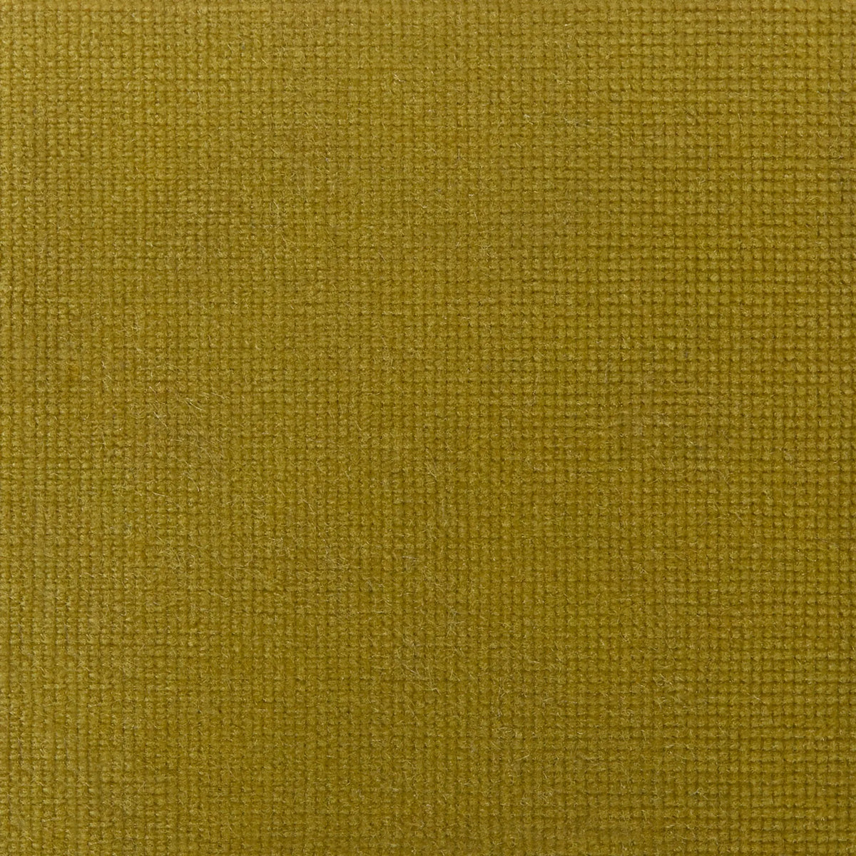 Close-up of a textured green fabric.
