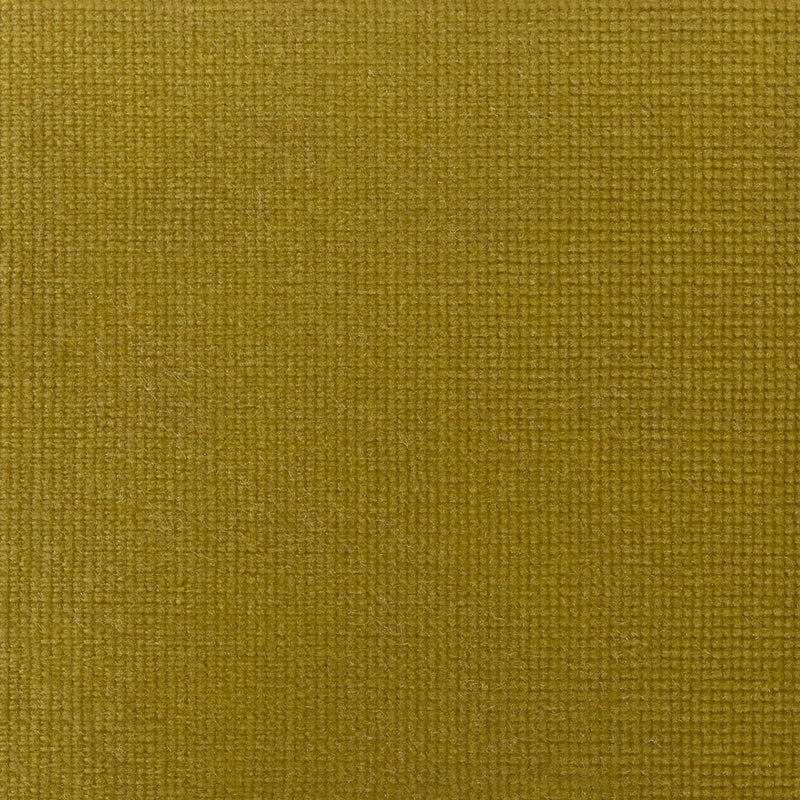 Ochre Velvet