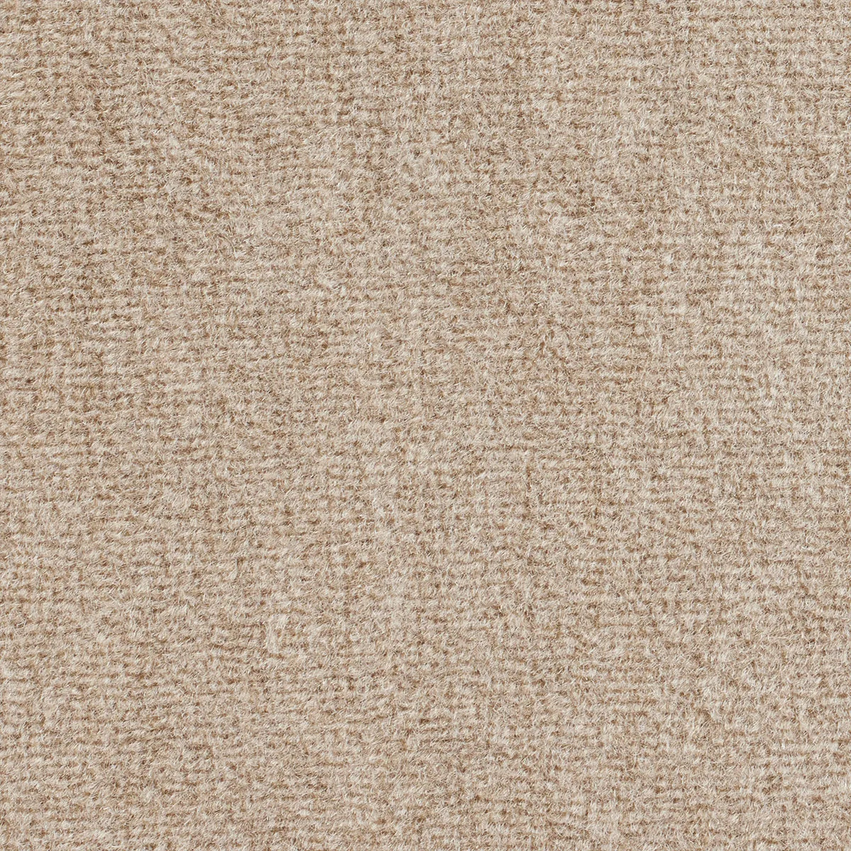 Stone Velvet swatch