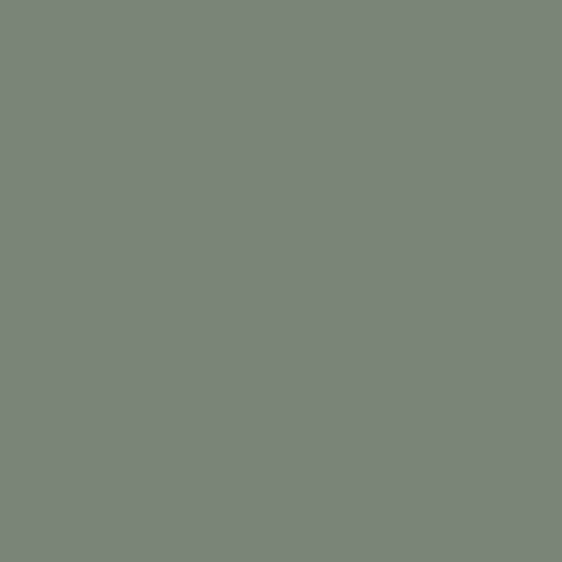 A solid grey-green color background, likely a sample paint swatch