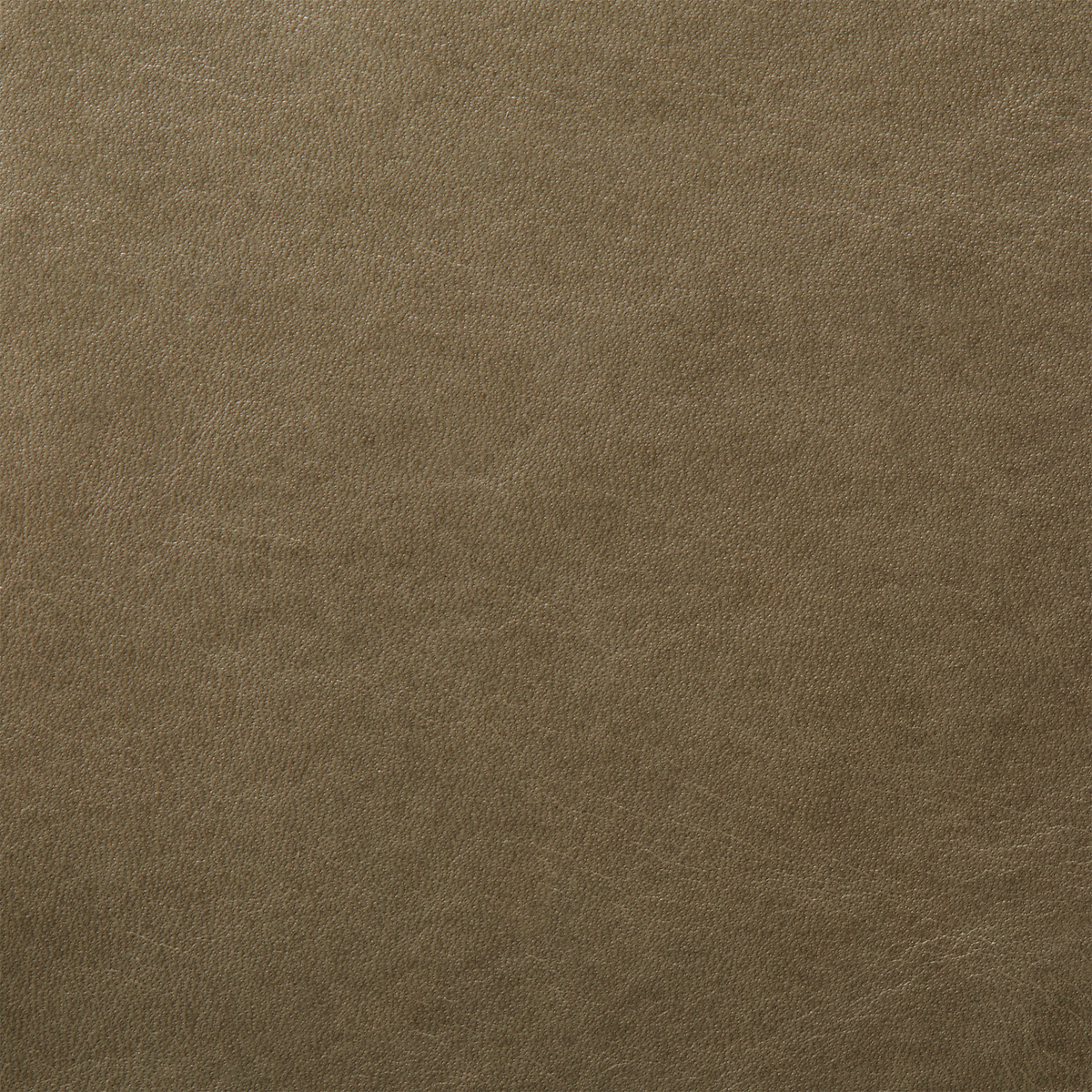 A close-up image of a grey green leather material.
