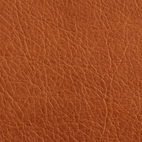 Toffee Leather - Angle 1