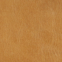Camel Leather - Angle 1