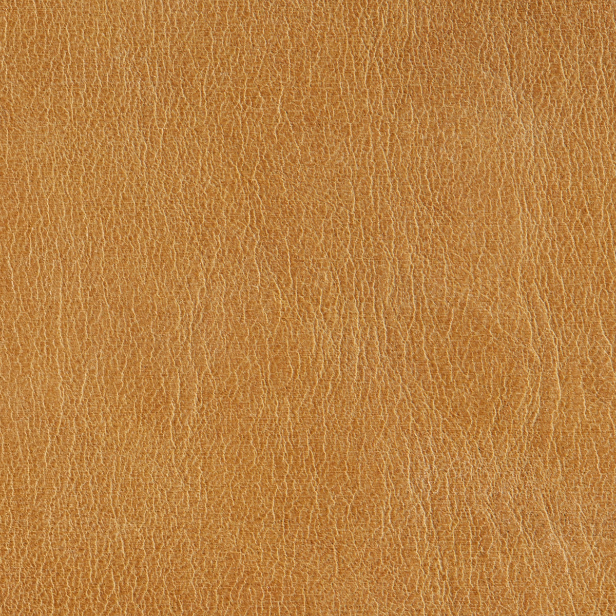 A close-up image of a brown camel leather texture.