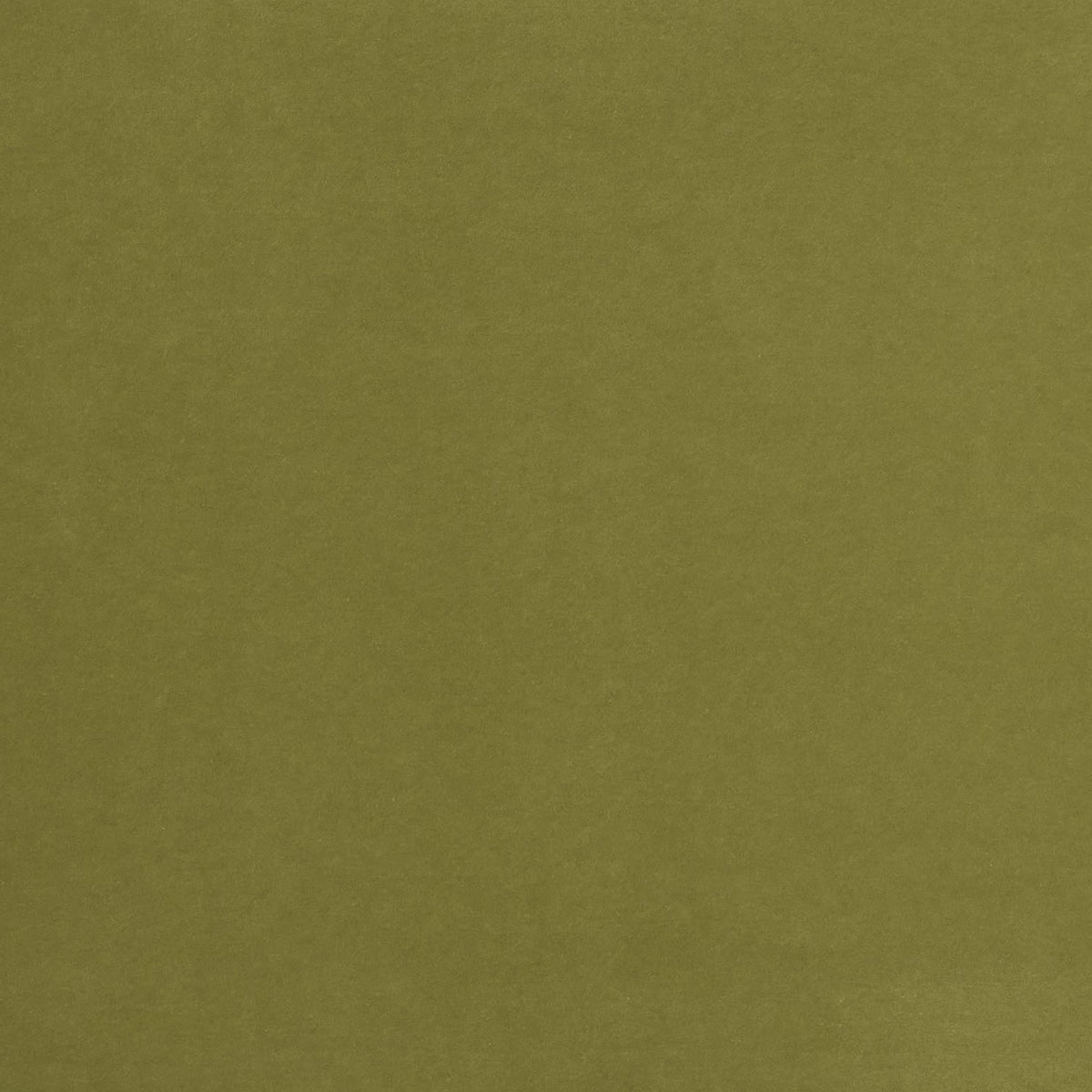 Solid green color swatch