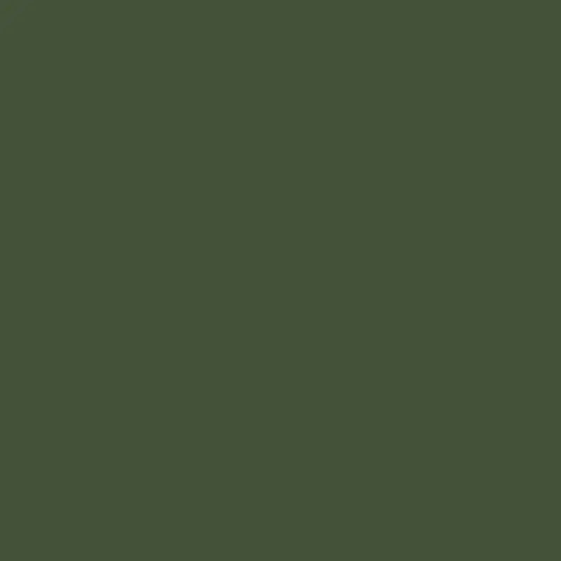 A green bottle of olive oil.