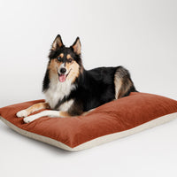 Signal Large Dog Bed in Copper Velvet - Angle 5
