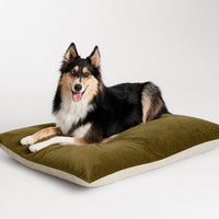 Signal Large Dog Bed in Loden Green Velvet - Angle 5