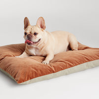 Signal Small Dog Bed in Copper Velvet - Angle 5