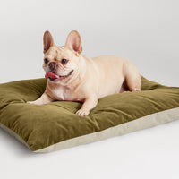 Signal Small Dog Bed in Loden Velvet - Angle 5