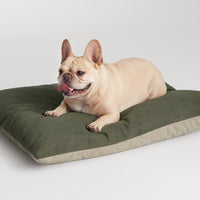 Signal Small Dog Bed en Barto Olive - ángulo 5