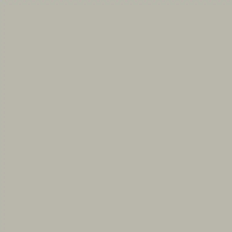 Putty Grey