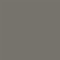 Risk-Averse Grey - Angle 1