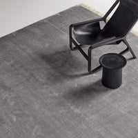 Fancy Rug in 5' x 8' - Angle 3