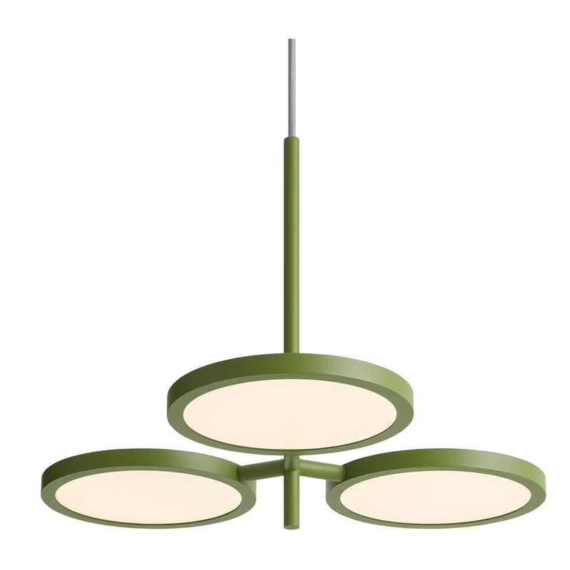 Shine On Large Pendant Light in Grasshopper