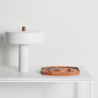 Vice Versa Small Tray in Terracotta - Angle 3