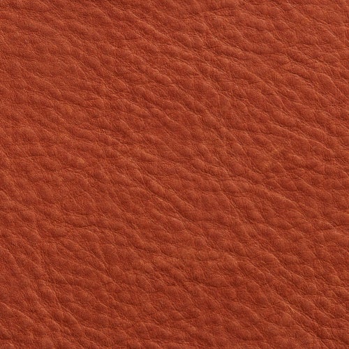 Terracotta Leather view 2