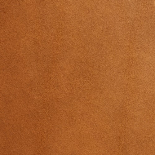 Butterscotch Leather view 2