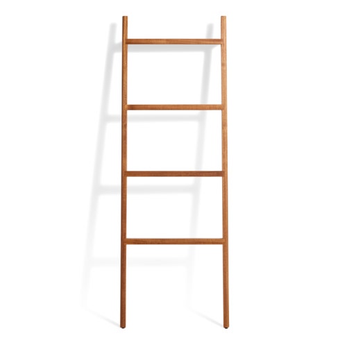 Woodsy Storage Ladder view 1
